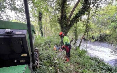 A Xunta impulsa a conservación de 20 quilómetros de tramos fluviais en Rois e Padrón