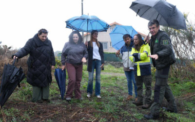 Belén do Campo supervisa os traballos de eliminación de especies exóticas na lagoa de Louro