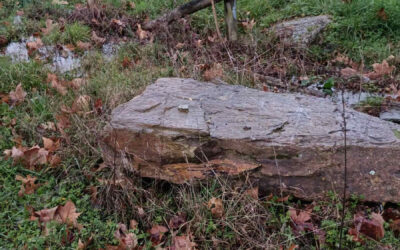 A AELG solicita a reposición no seu lugar orixinal do monólito dedicado ao noiés Antón Avilés de Taramancos en Monforte de Lemos