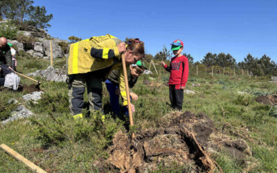 A rapazada do Colexio Salustiano Rey Eiras e Comunidade de Montes Barbanza de Lesón plantan máis de medio cento de castiñeiros